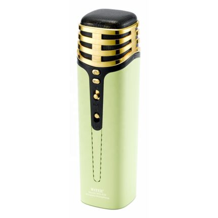Haut Parleur de microphone karaoké sans fil WSTER WS-838 – Vert Tunisie