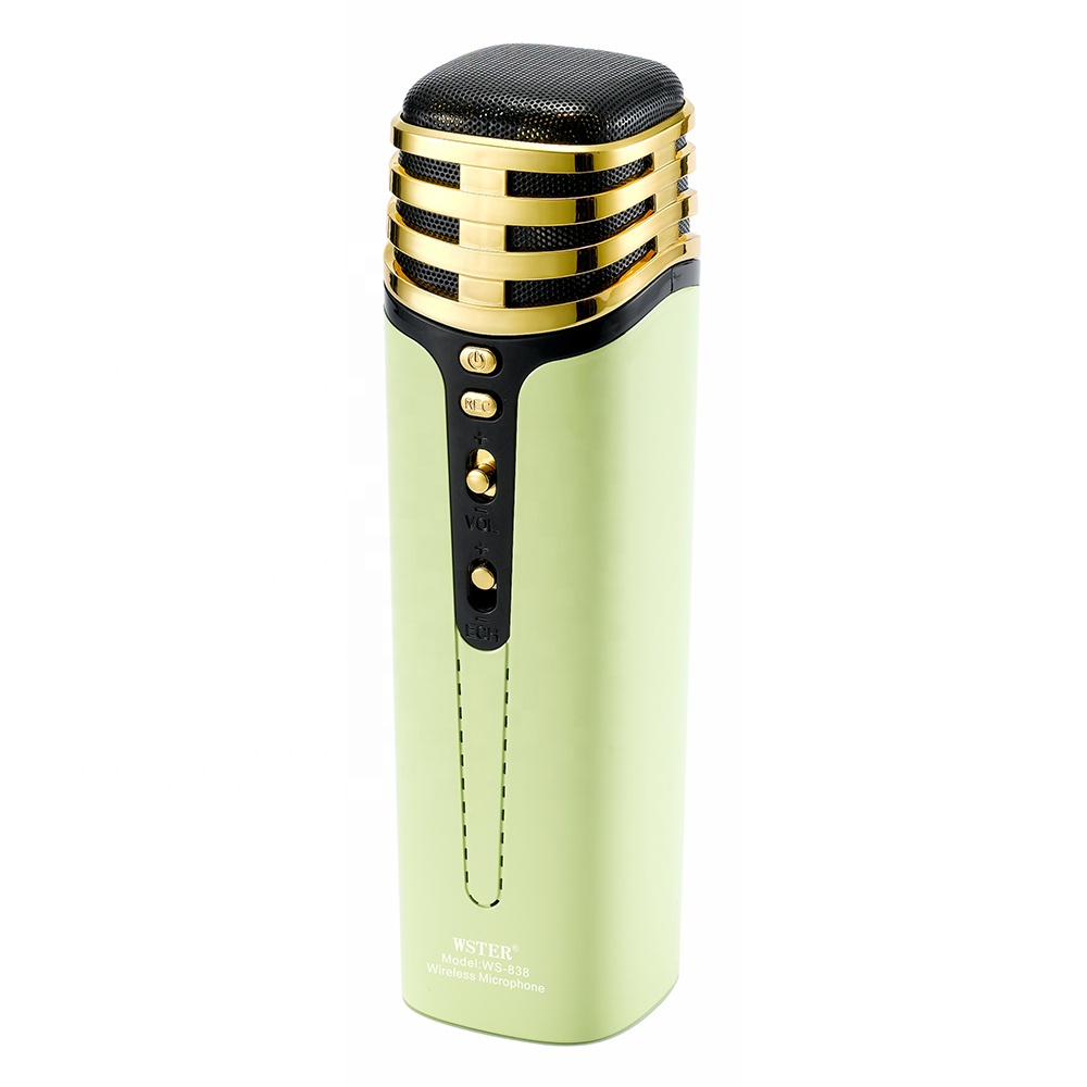 Haut Parleur de microphone karaoké sans fil WSTER WS-838 - Vert