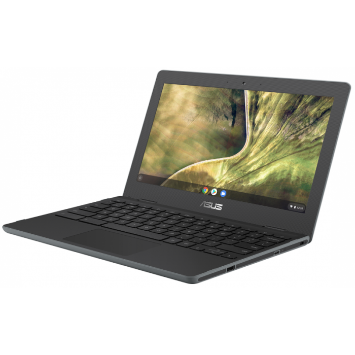 Pc Portable ASUS Chromebook C204MA-GJ0203 N4020, 4Go Tunisie