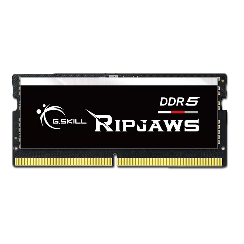 barrette-memoire-gskill-ripjaws-16-go-ddr5-4800-mhz-1