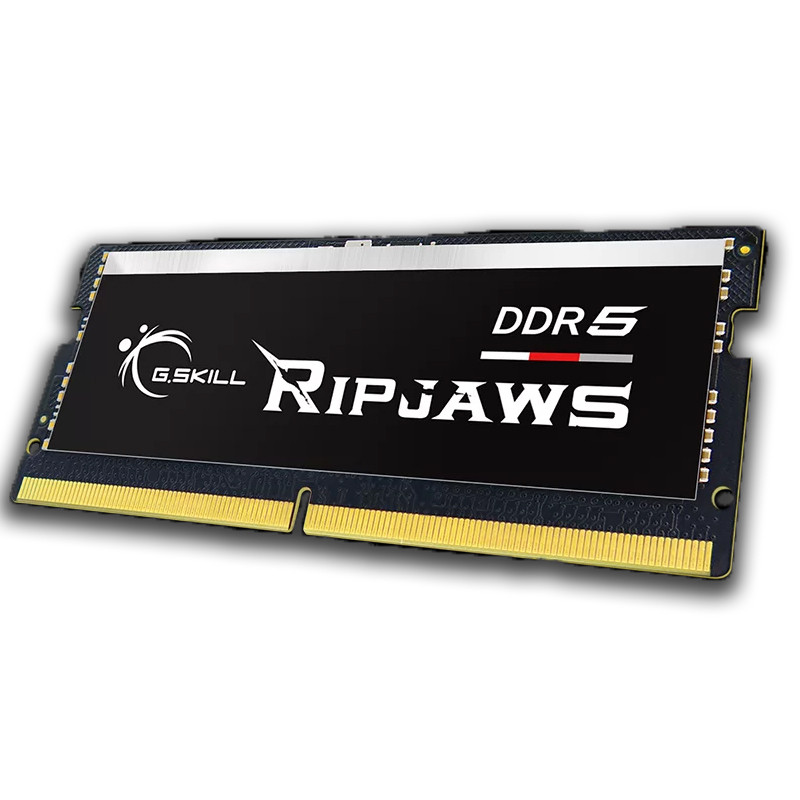 barrette-memoire-gskill-ripjaws-16-go-ddr5-4800-mhz-2