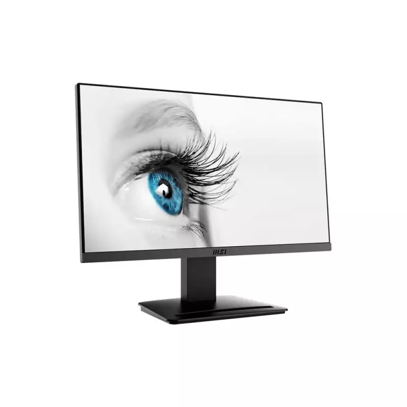 ecran-msi-pro-mp223-2145-full-hd-100hz-1ms-1.webp