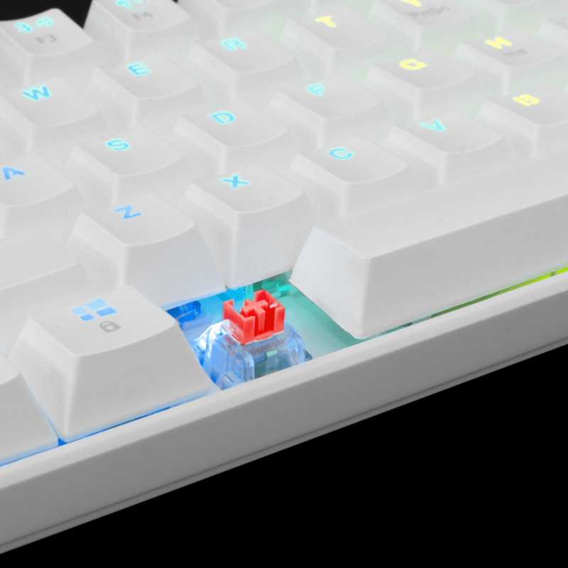 clavier-gaming-mecanique-white-shark-shinobi-gk-2022-rgb-blanc-red-switchs-5.png