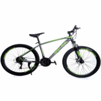 Vélo Enfant Best Bike 29″- Vert – H29 Tunisie