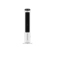 Tondeuse Nez et Oreilles WAHL 05642-316 Noir & Silver Tunisie
