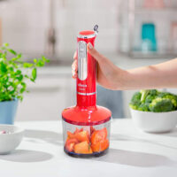 Mixeur Plongeant 3en1 UFESA BP3443 600W Rouge Tunisie