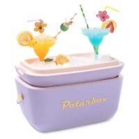 Glacière Portable Polarbox Classic 20 L 9212 Lilas Tunisie