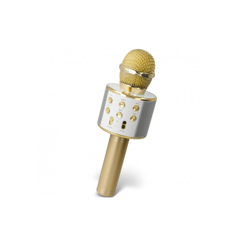 microphone-karaoke-bluetooth-avec-enceinte-forever-bms-300-lite-or.jpg