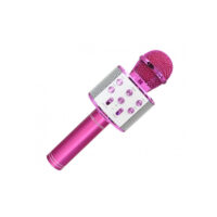 Microphone Karaoké Bluetooth Avec Enceinte Forever – Bms 300 lite – Noir -GSM112217 Tunisie