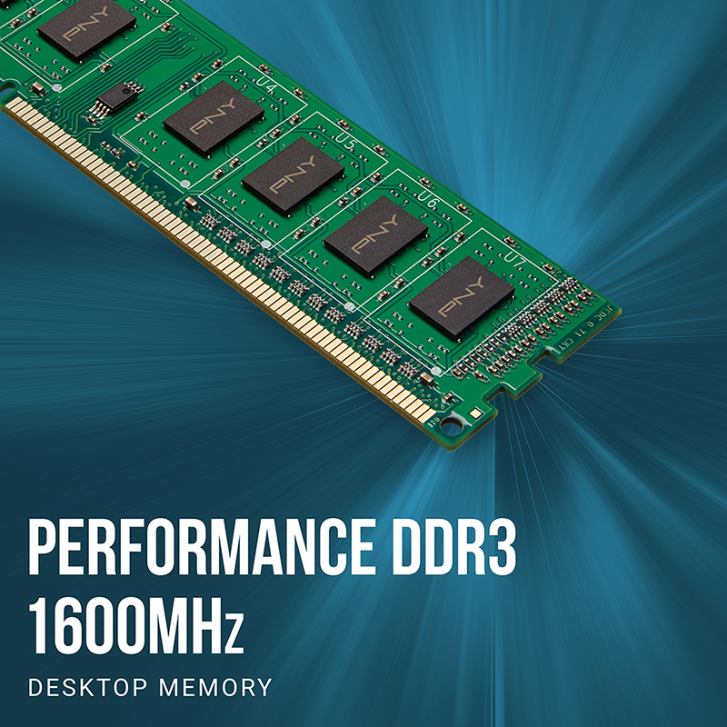 Barrette Mémoire Pny Ddr3 1600mhz 8gb -md8gsd31600nhs Barrette Mémoire Pny Ddr3 1600mhz 8gb -md8gsd31600nhs Tunisie