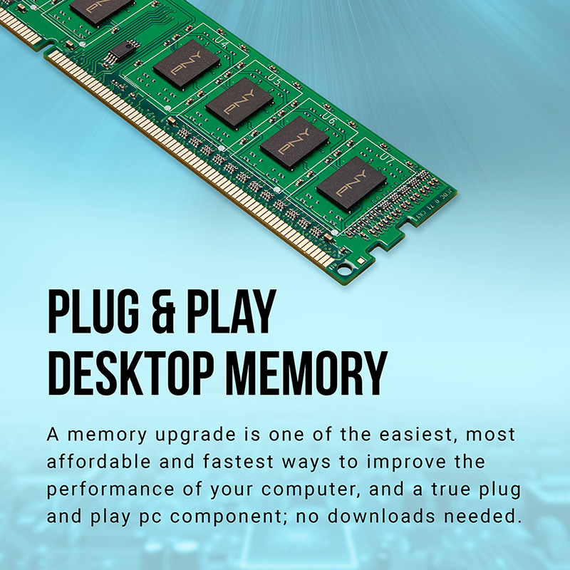 Barrette Mémoire Pny Ddr3 1600mhz 8gb -md8gsd31600nhs Barrette Mémoire Pny Ddr3 1600mhz 8gb -md8gsd31600nhs Tunisie