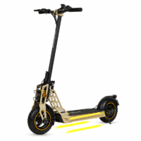 Trottinette Électrique ECO-XTREM Bison GT 800 W – Bleu Tunisie