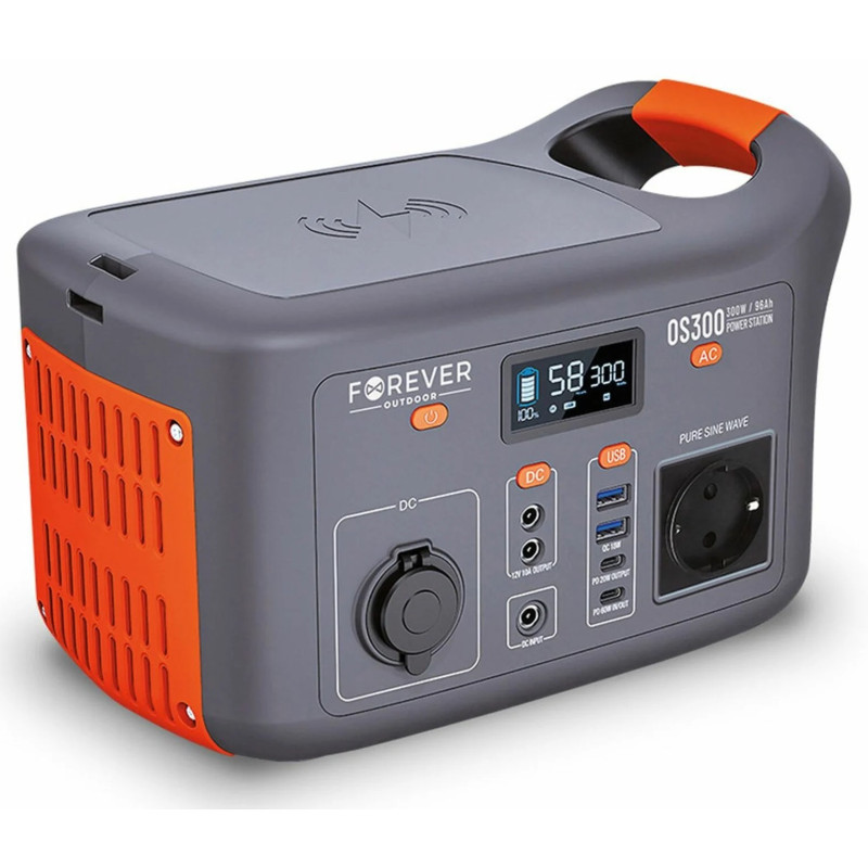 centrale-electrique-forever-ene100001-300w.jpg