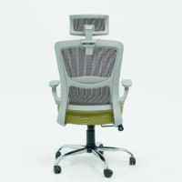 Chaise Directeur Roy Avec Accoudoirs – Vert Tunisie