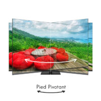 Téléviseur Thomson 43QG6C14 UHD 4K Qled Plus Smart Google TV Noir Tunisie