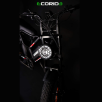 Bicyclette Électrique Ecoride Er2-v2 1000w – Noir – EC-ER2-HYDRAULIQUE Tunisie