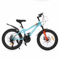 Vélo Enfant Best Bike 20″ – Vert- L-20 Tunisie